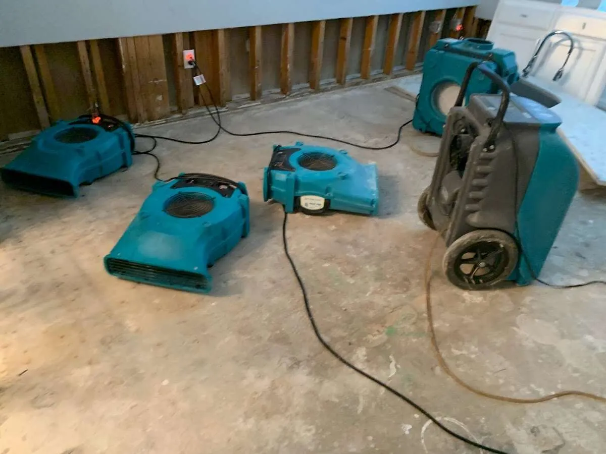 Water Damage Restoration services in Forest Grove, OR